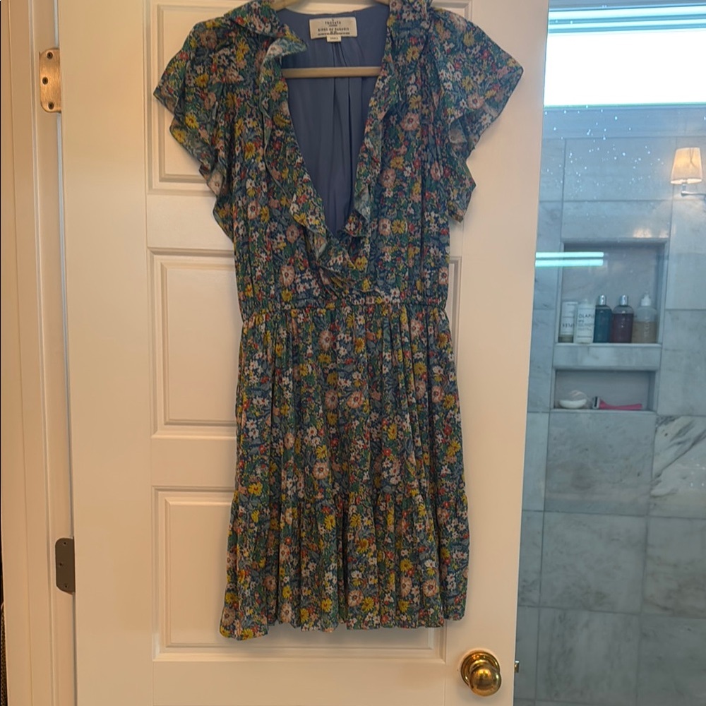 Trovata Birds of Paradise Dress